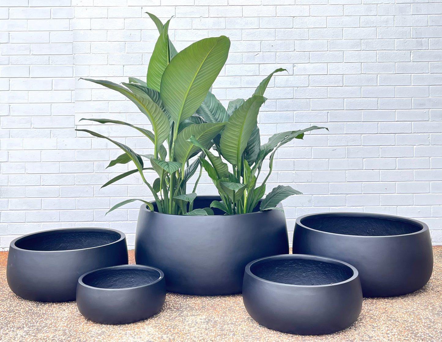 LA bowl lightweight pots (Pick up/delivery)