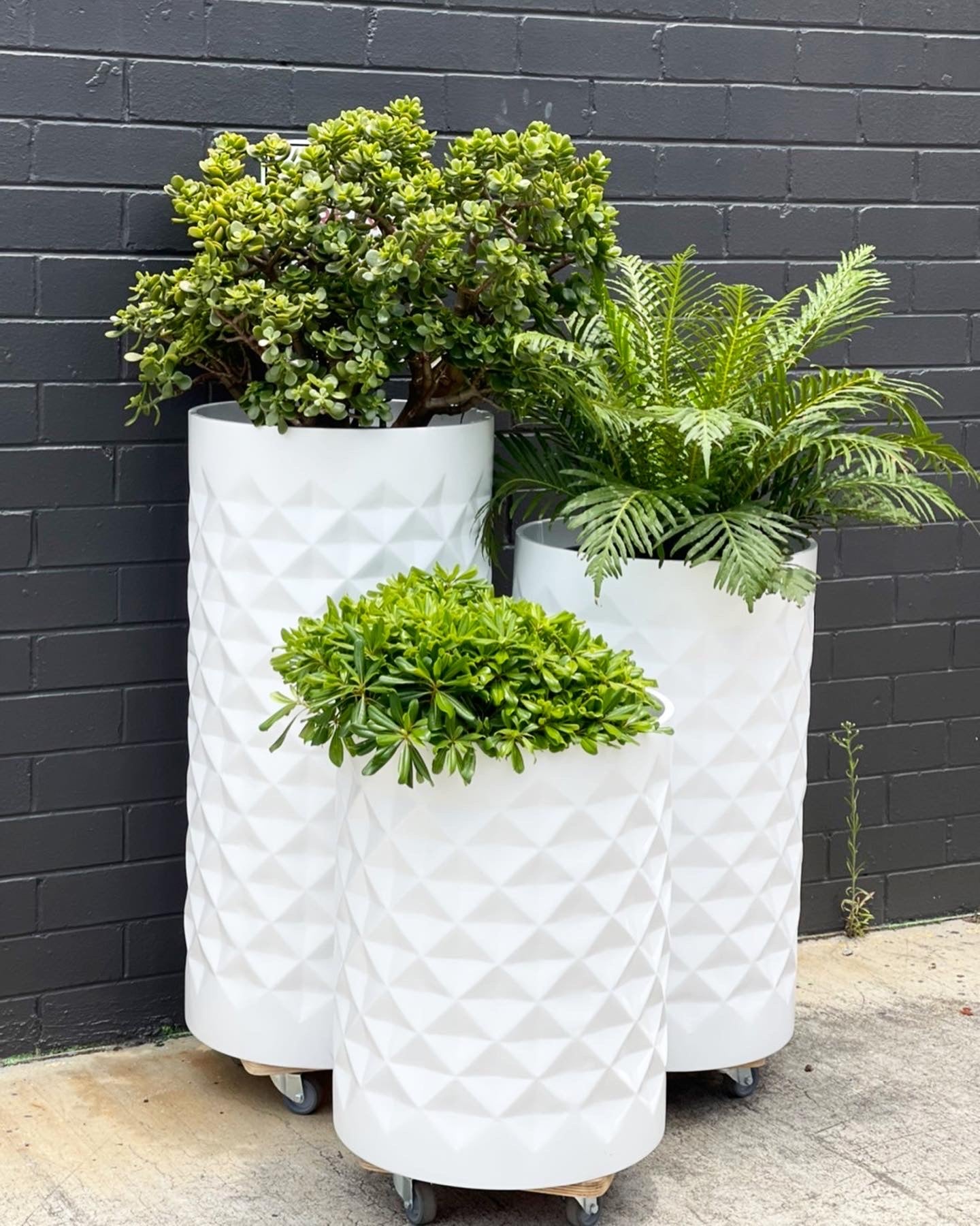 NY Diamond tower lightweight pots Pick up/Delivery)