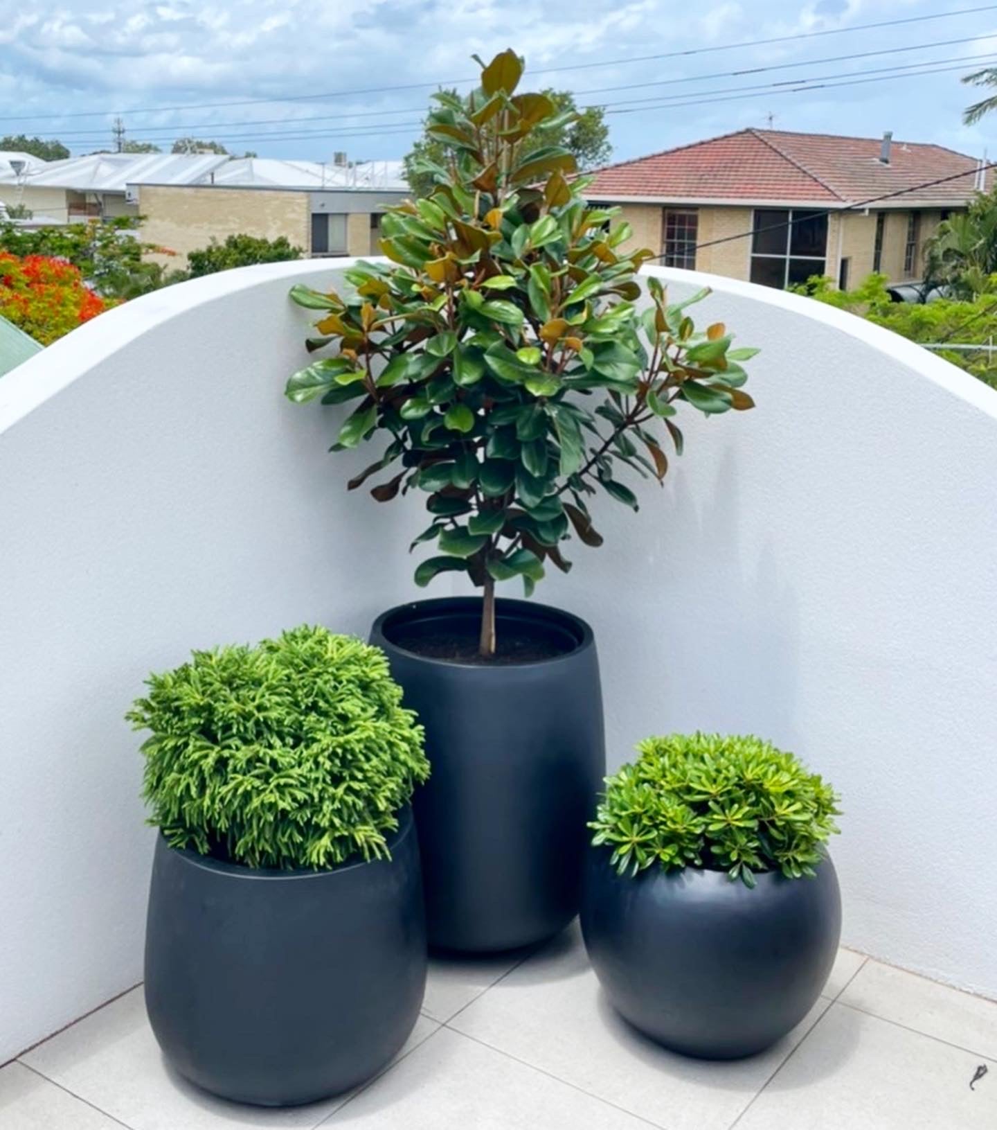 large black pot for plants LA HS Duffle tallLightweight Pots Black Pick up/Delivery)