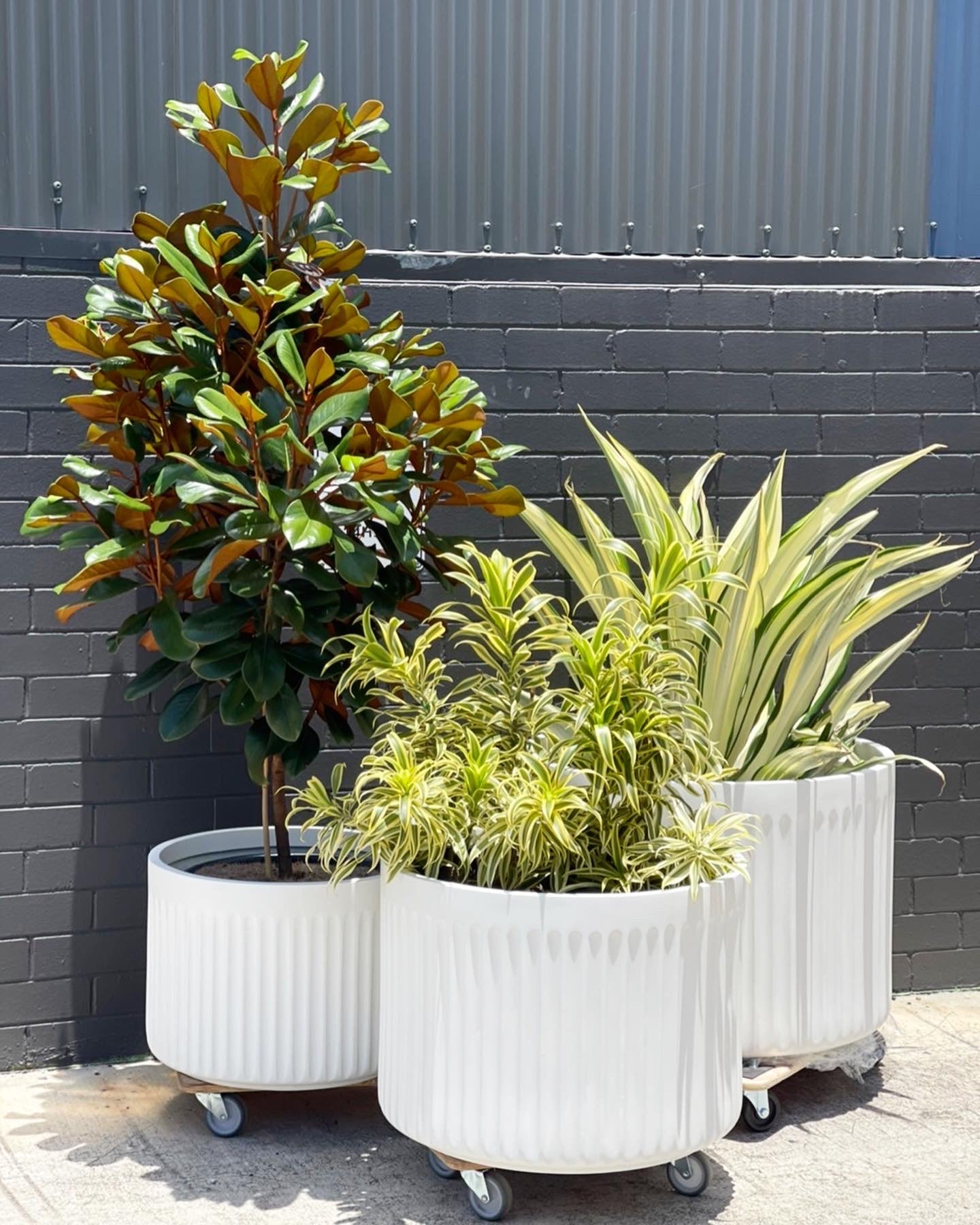 NY Empire lightweight pots Pick up/Delivery)