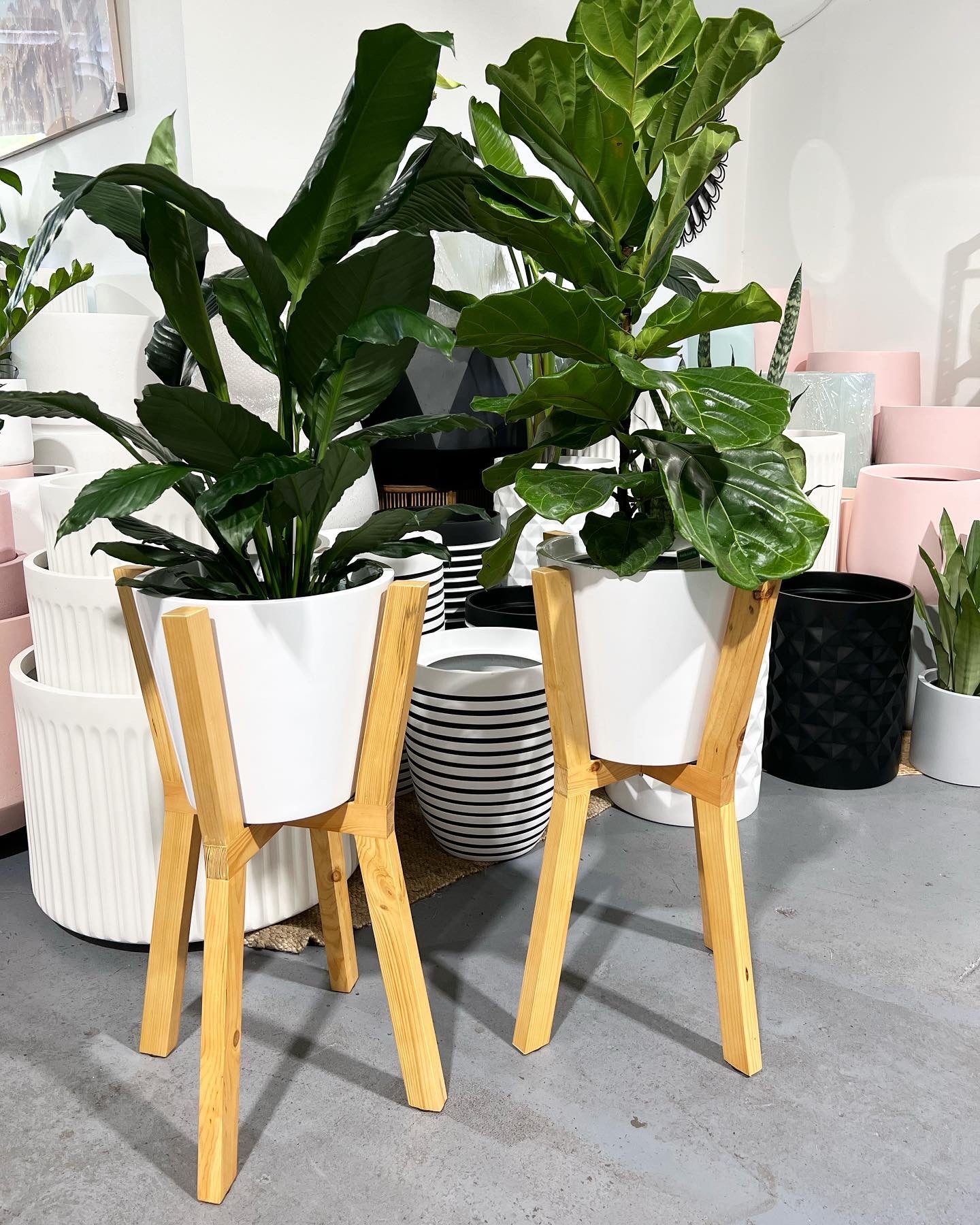 NY City lightweight pot+Stand (Pick up/Delivery)