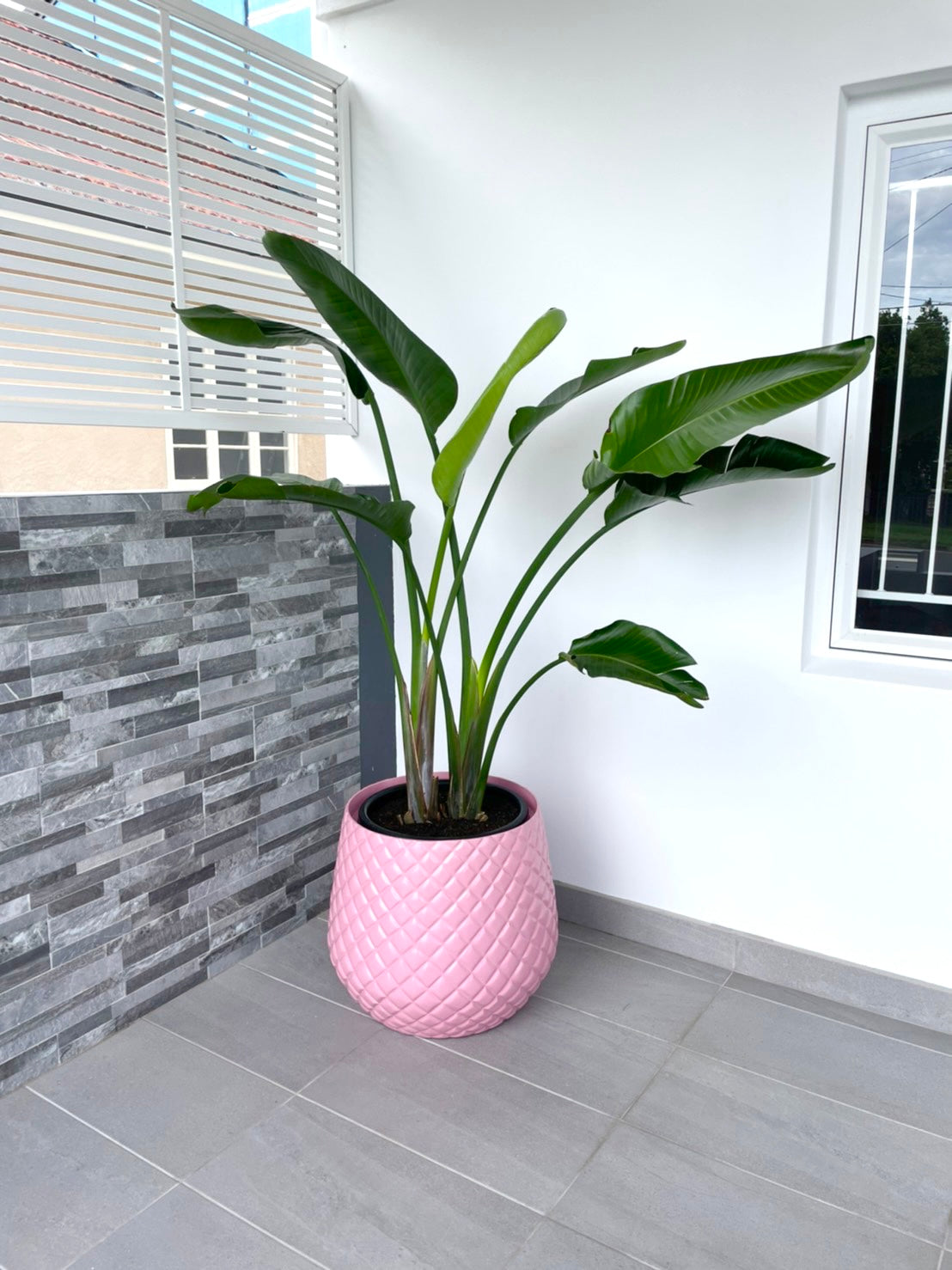 NY Diamond XL Lightweight hand painted pot (Pickup/delivery)