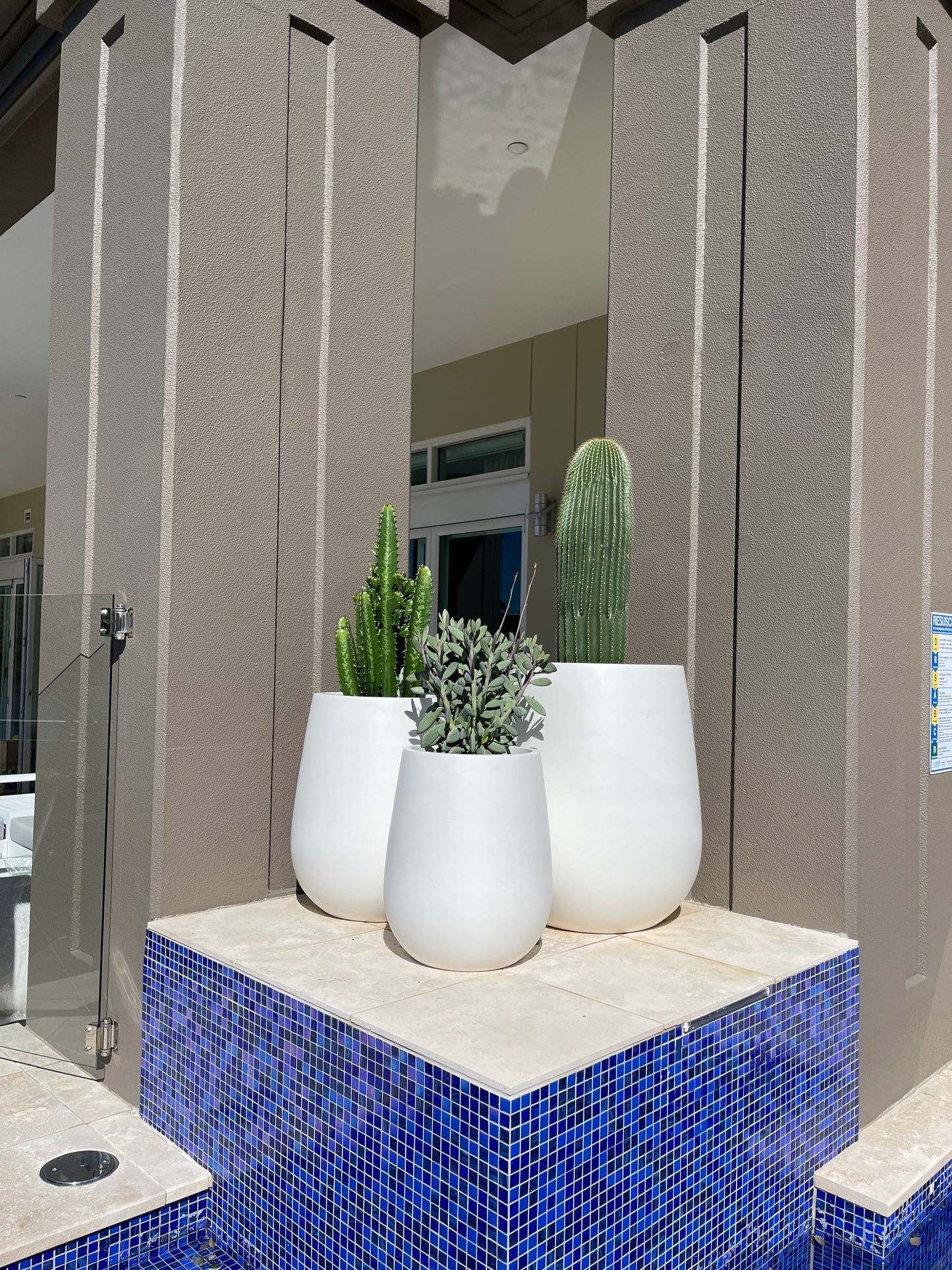 NY Duffle Candy Pot White ( pickup/delivery )