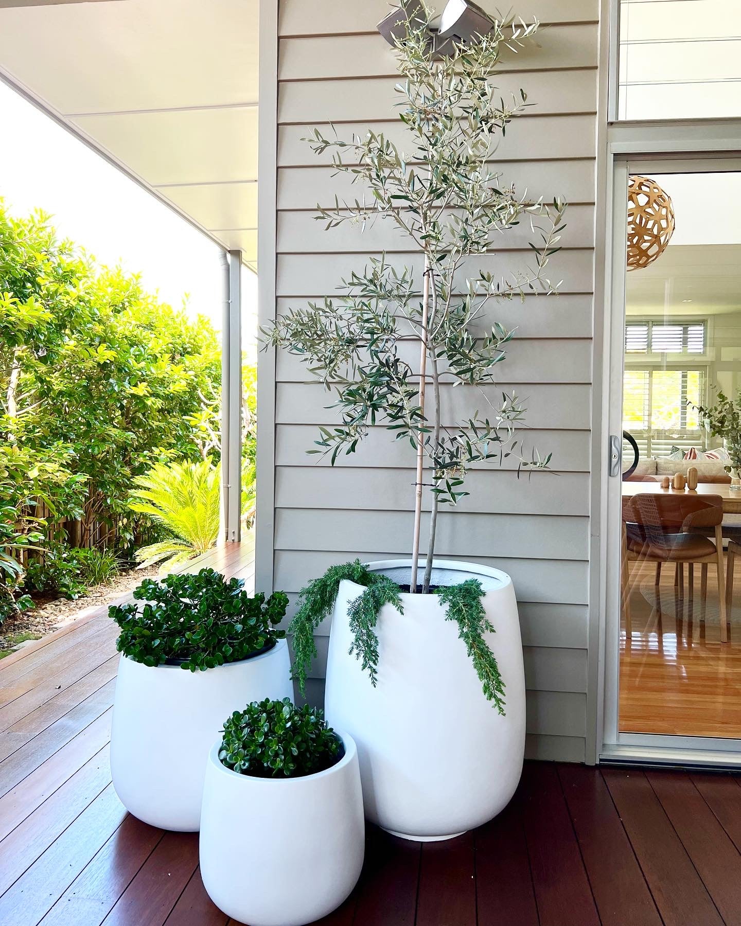 lightweight pots for indoor plants LA HS Lightweight Pots Pick up/Delivery)