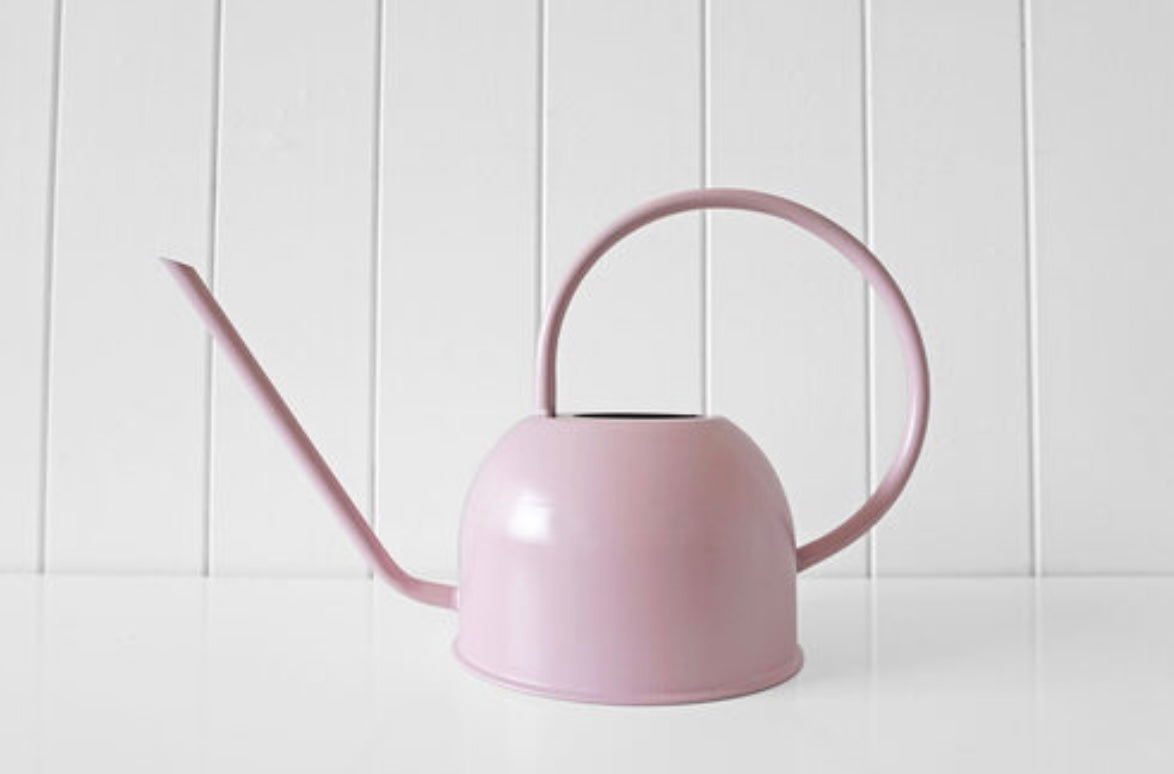 Saturday Watering Cans Available 3 Colours(Pickup/Delivery)