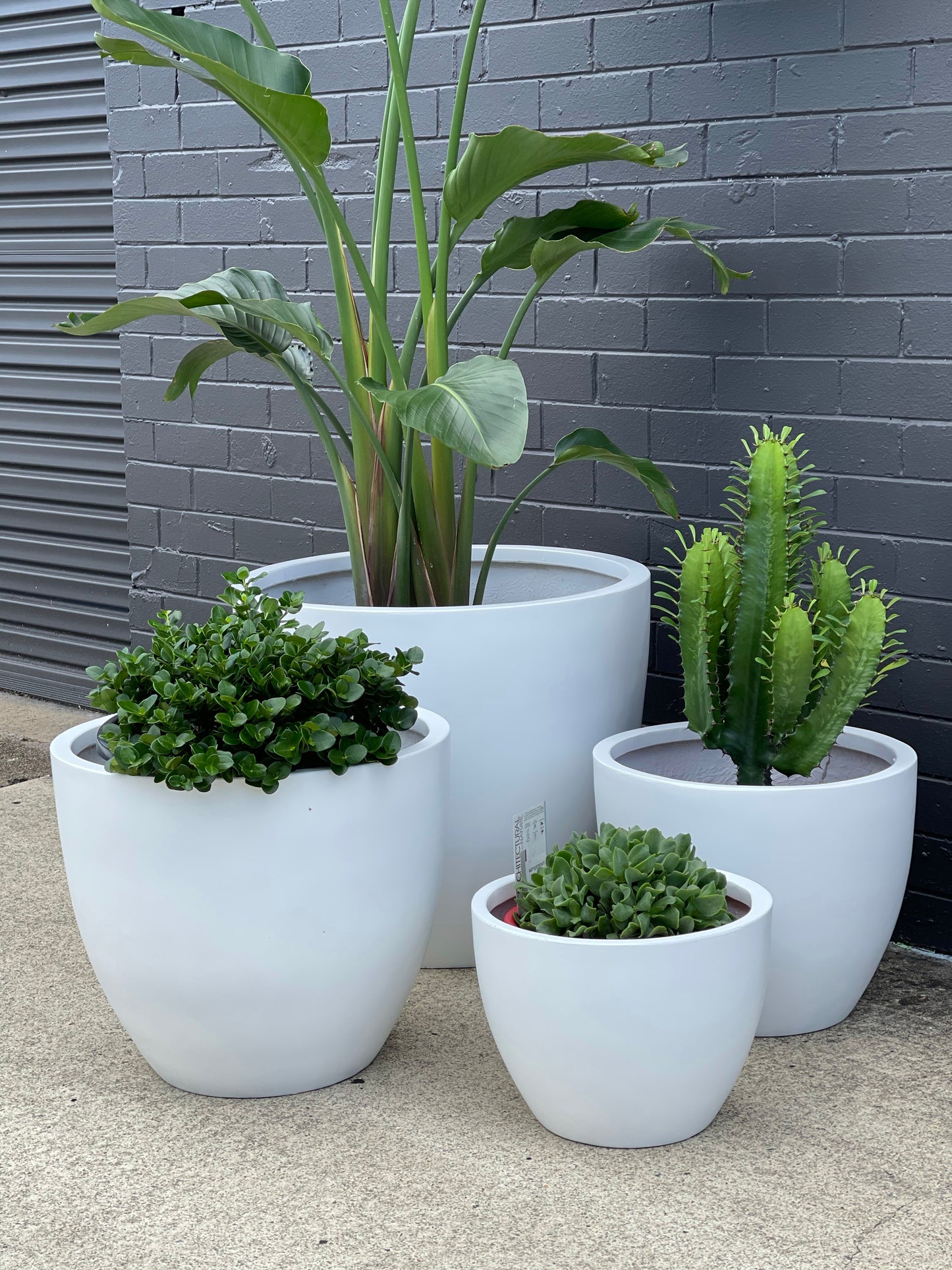 LA egg lightweight matte white pot (Pick up/delivery)