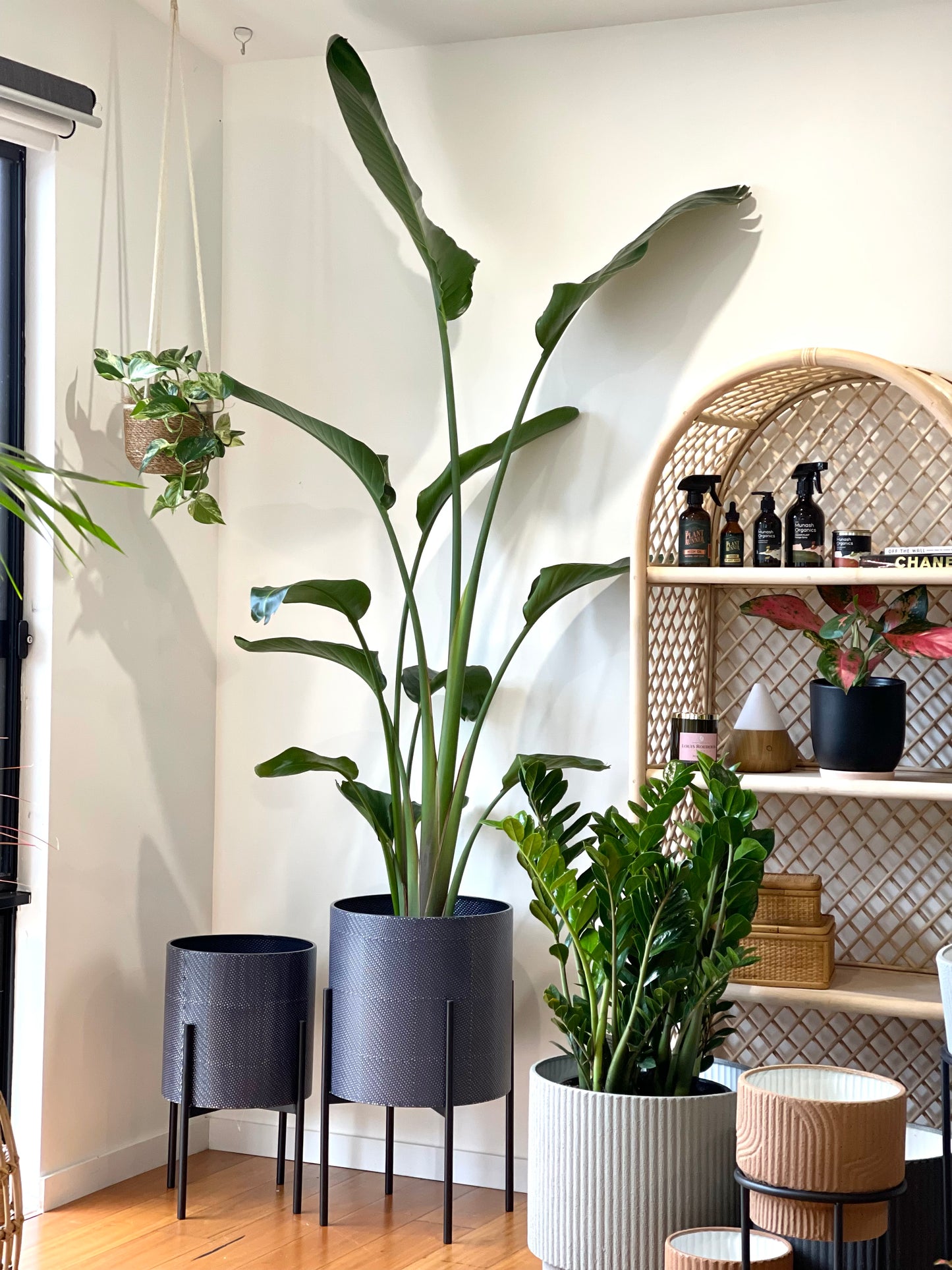 Nisha Planter (Pick up/Delivery)