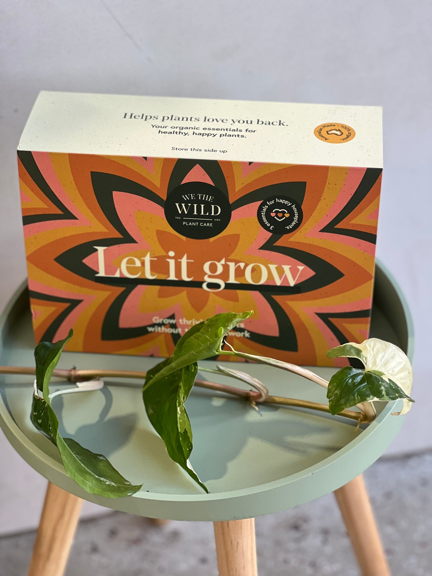 Plant Care Kit (Pickup / Delivery)