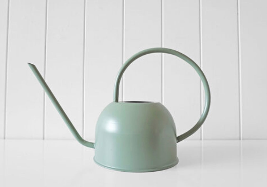 Saturday Watering Cans Available 3 Colours(Pickup/Delivery)