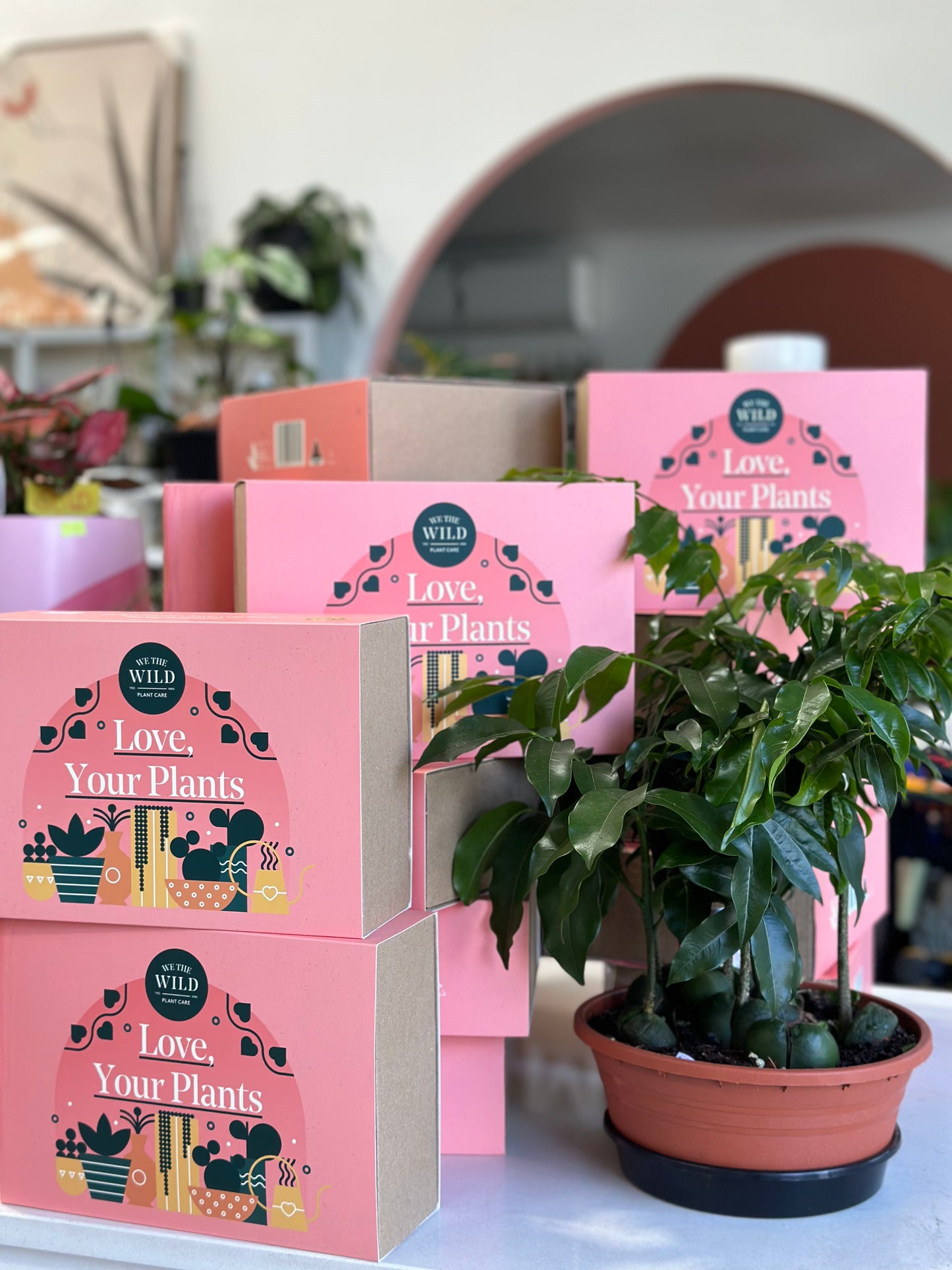 Plant Care Kit (Pickup / Delivery)