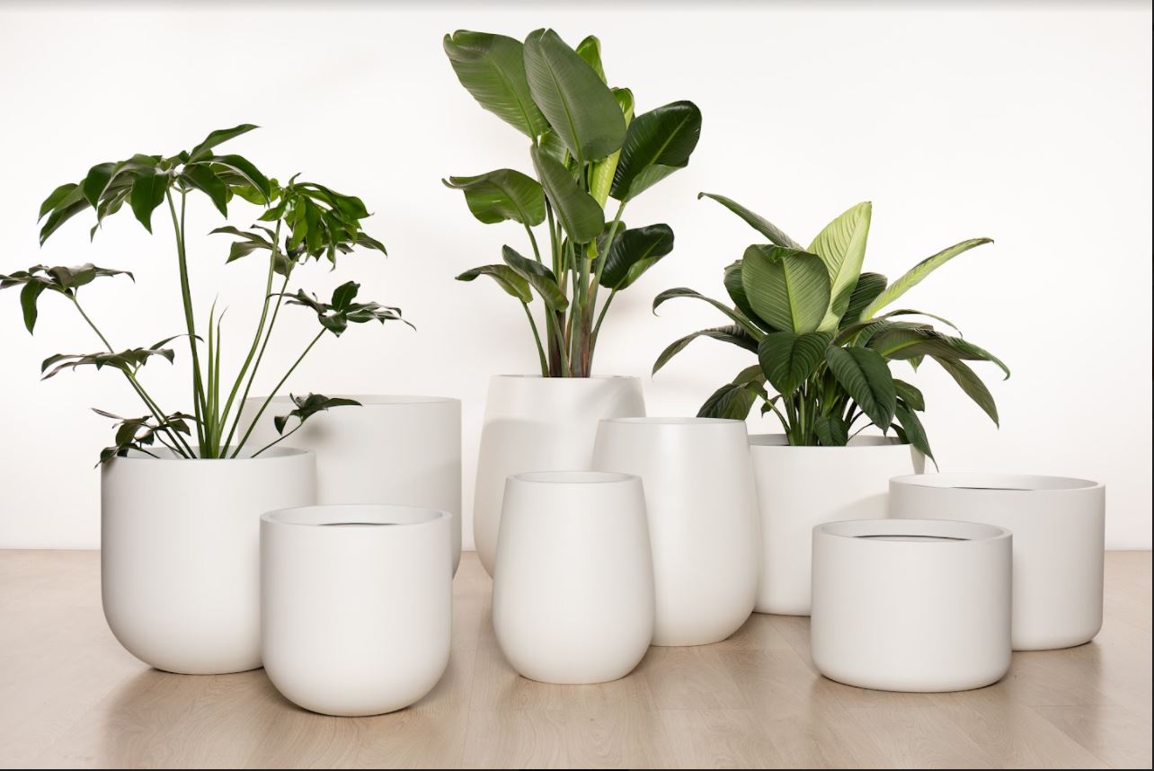 NY Duffle Candy Pot White ( pickup/delivery )