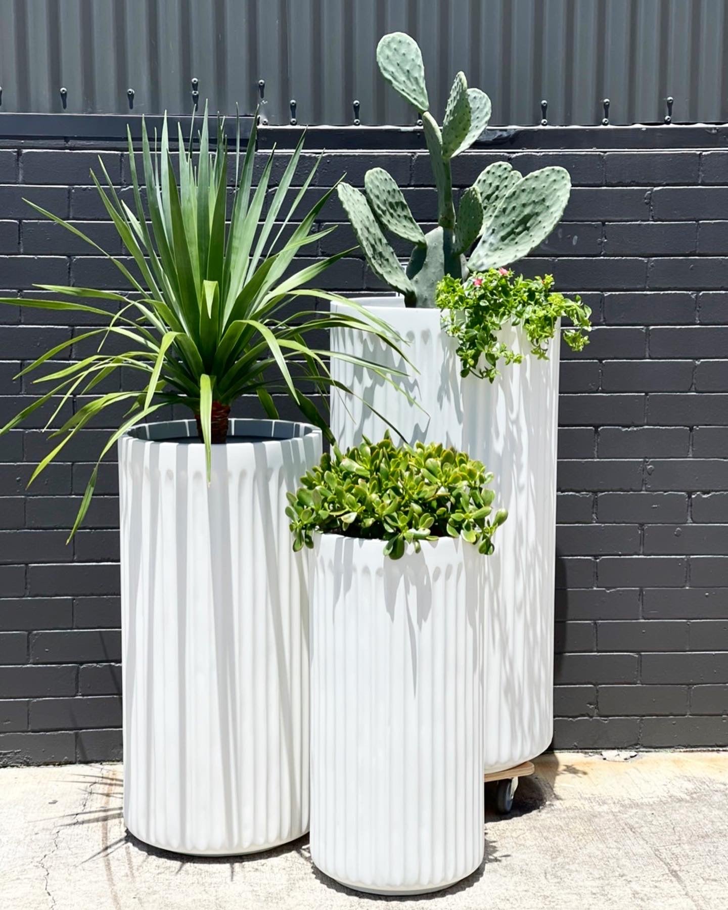 long white plant pot NY Empire Tower lightweight pots Pick up/Delivery) – Little Leaf Decor