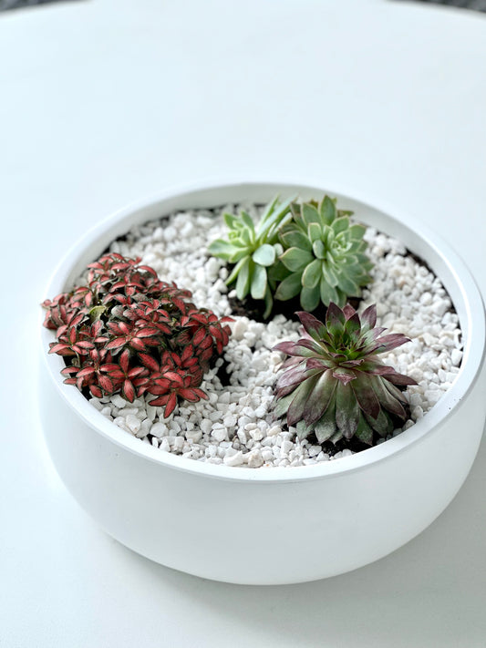 Aria Bowl pot matte white 250mm (Pickup/delivery)