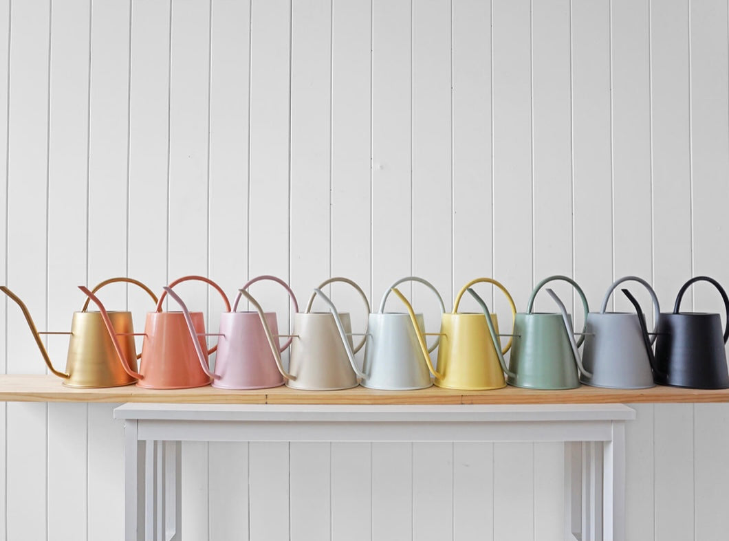 Sunday Watering Cans Available 6 colours (Pickup/Delivery)