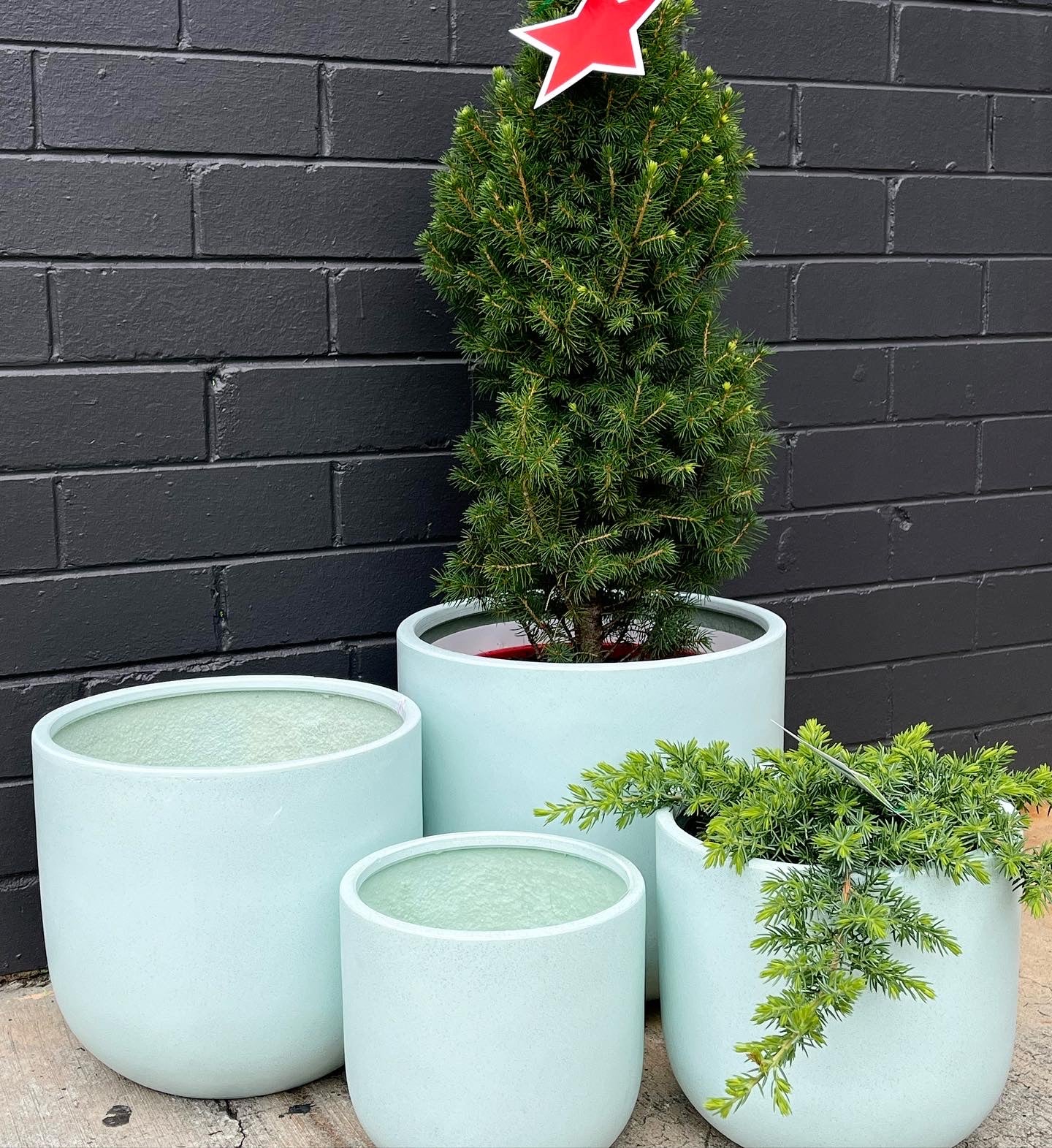 Little Tree Pot All Pots – Little Leaf Decor