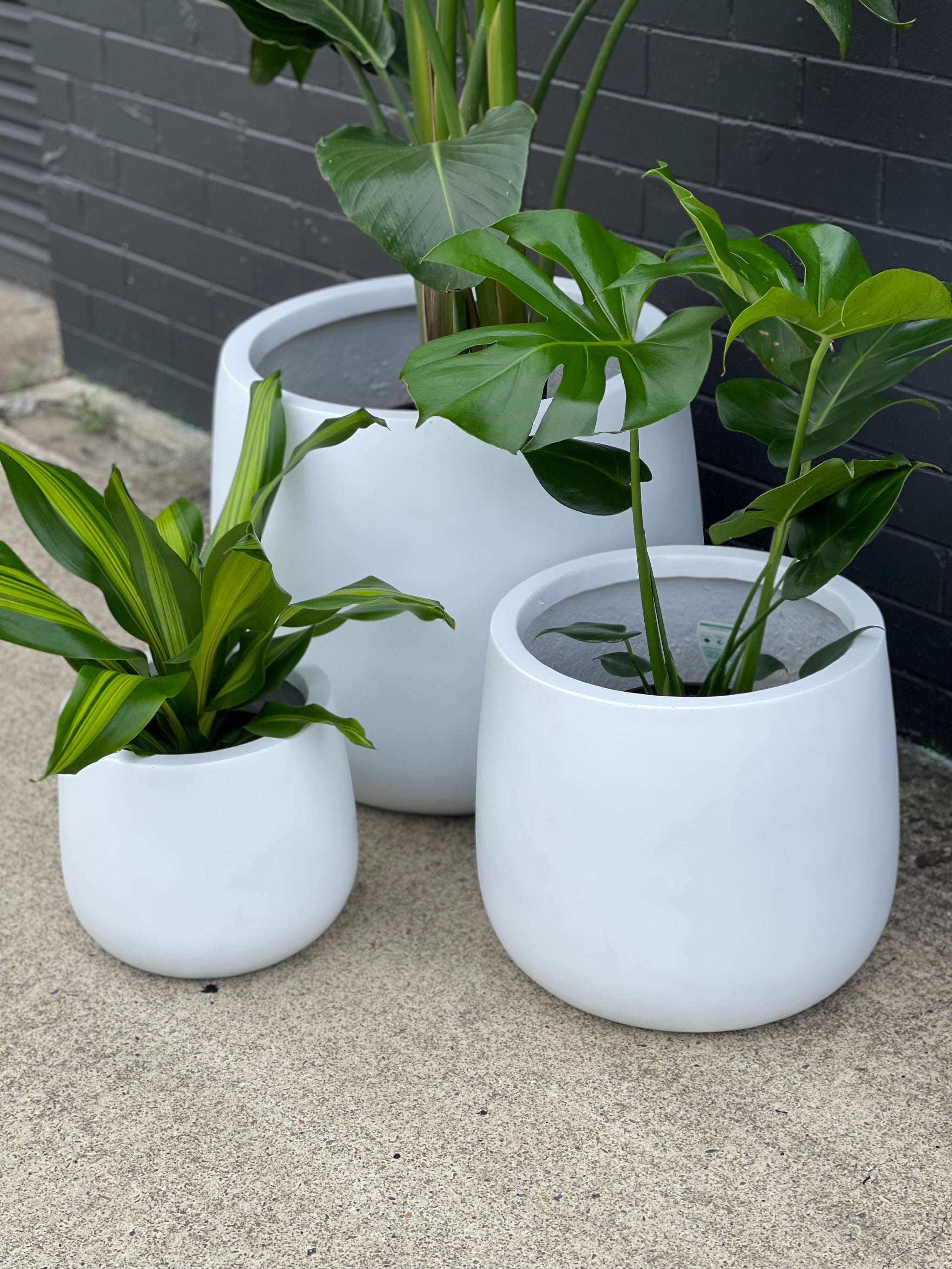Pots pour plantes DRUM