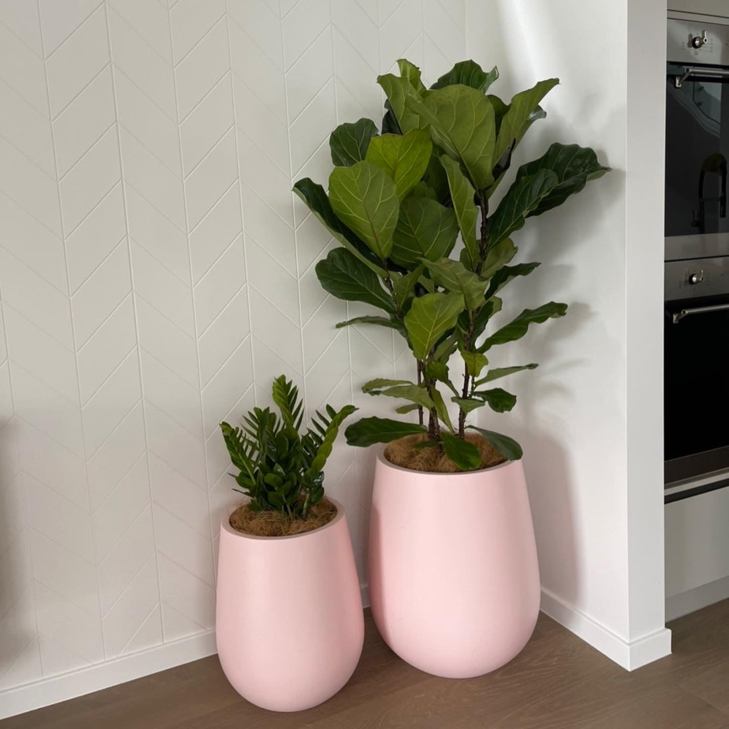 large pink plant pots NY Duffle Candy Pots Pink ( pickup/delivery )