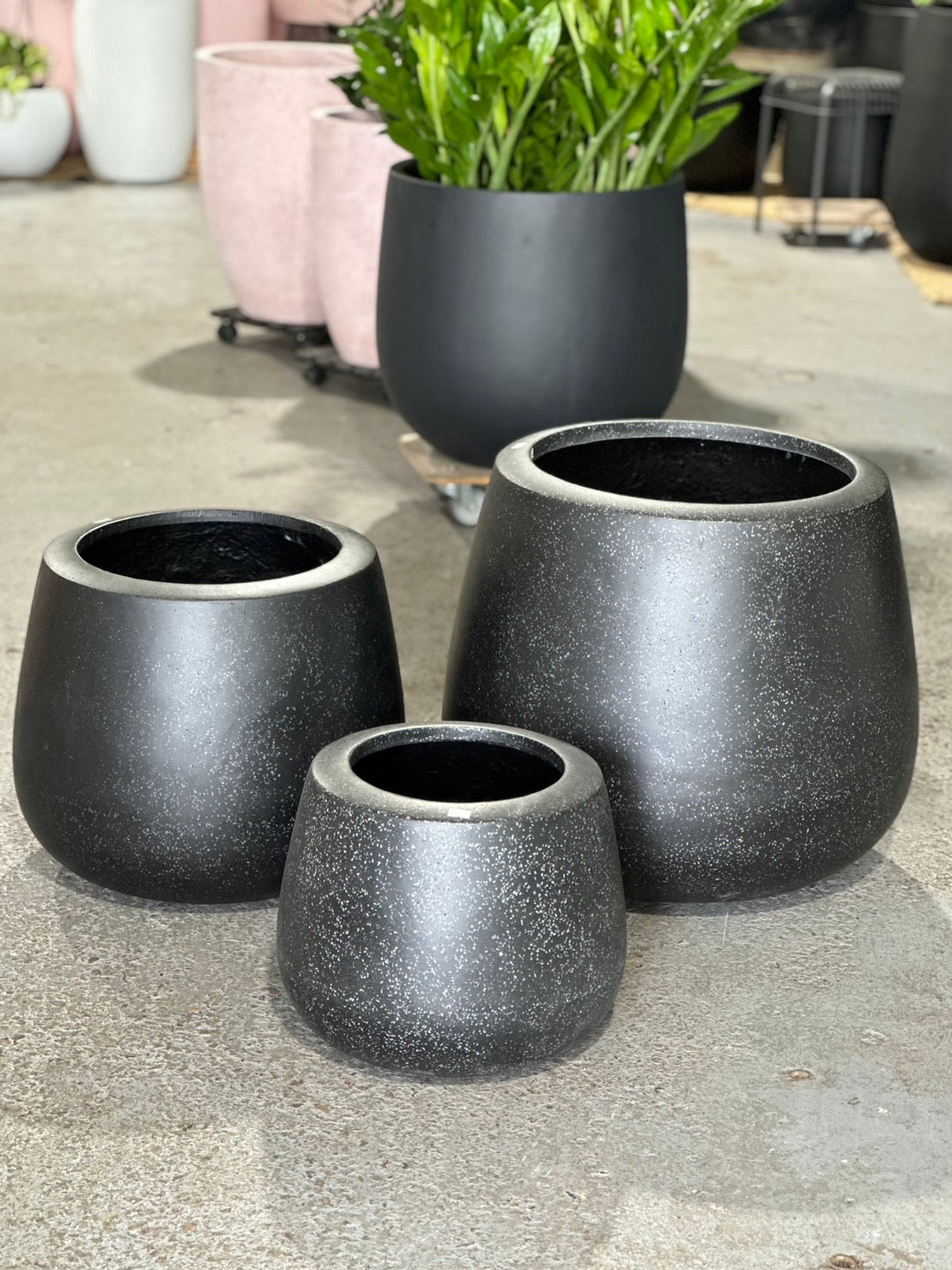 NY Bella Cup Pot Black ( pickup/delivery )