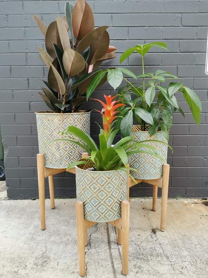 Mel Planter With Stand ( Pick Up)