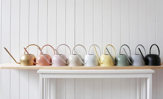 Saturday Watering Cans Available 3 Colours(Pickup/Delivery)