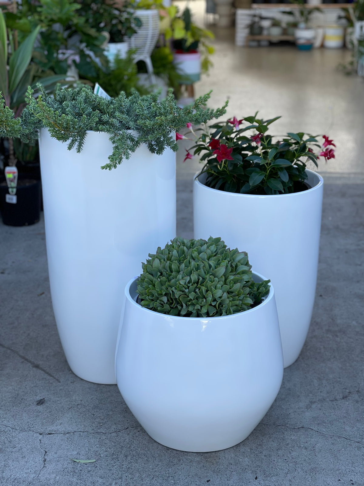 NY Pots fit 300mm pot inside white gloss ( pickup/delivery )