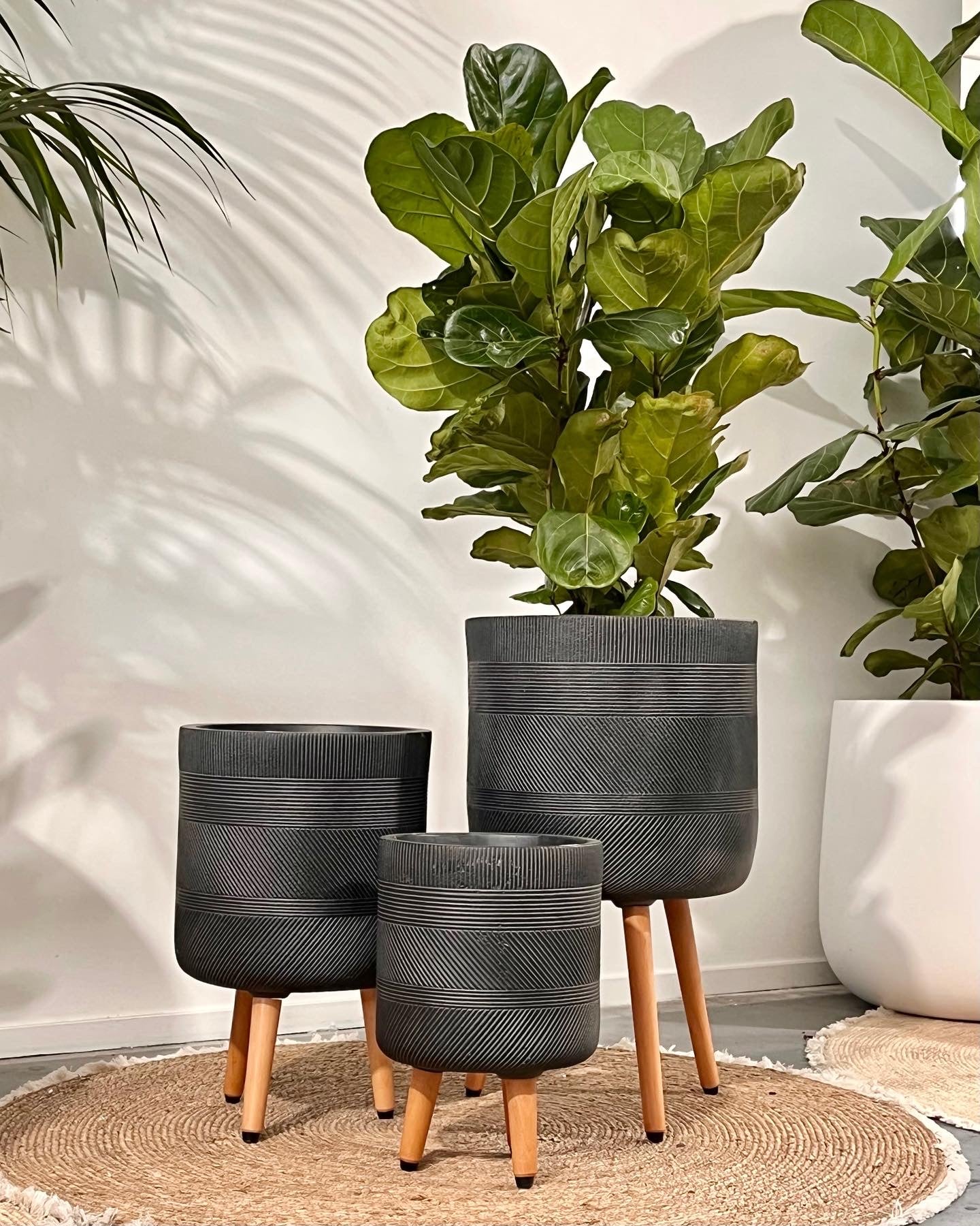 Winston tripod pots Black (Pick up/Delivery)